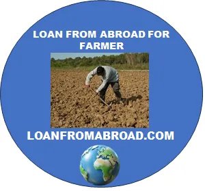 Loan from overseas for farmers: how international money reaches agriculture